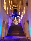 TDC Winter Display 2011-12